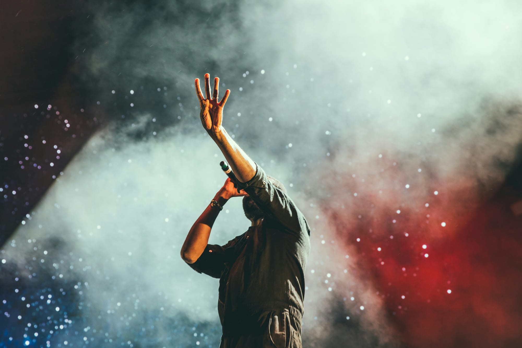 NexaTunes – Insights for Independent Artists & Labels